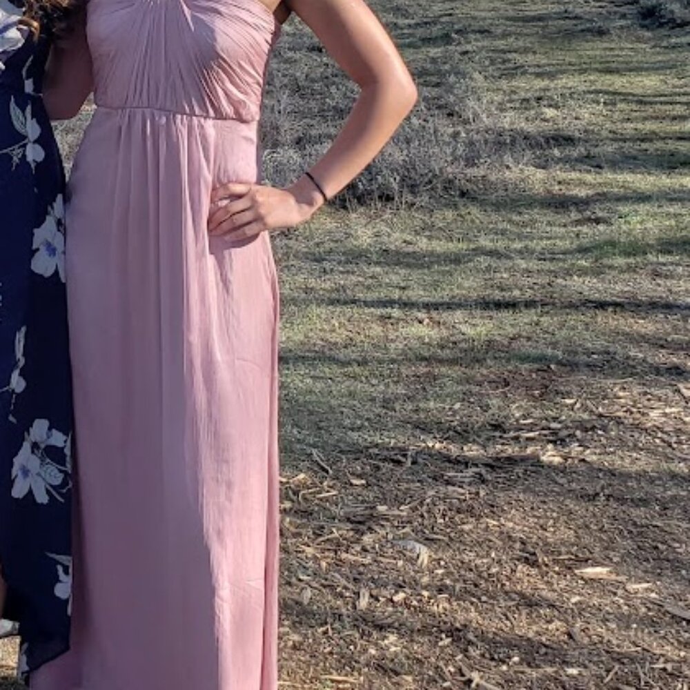 BHLDN Pink Chiffon Midi Dress (M)